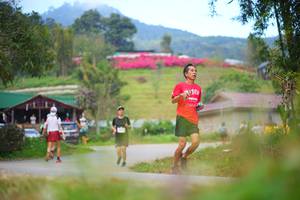 BIB: 
                            <button type="button" onclick="openModal(19193201)" class="btn btn-primary btn-sm float-right btn-popup" data-toggle="modal" data-target=".modal-high-quality">
                        <i class="fas fa-shopping-cart"></i> Add to Cart
                    </button>
                                            <button type="button" onclick="isThisMe(19193201, true)" class="btn btn-success btn-sm float-right btn-popup btn-isme hidden" data-toggle="tooltip" data-placement="bottom" title="นี่คือรูปของคุณใช่ไหม คลิกที่นี่เพื่อเอาเข้าอัลบั้ม">
                        <i class="fas fa-plus"></i> Add to album
                    </button>
                    <button type="button" onclick="isThisMe(19193201, false)" class="btn btn-warning btn-sm float-right btn-popup btn-isnotme hidden">
                        <i class="fas fa-ban"></i> Remove from album
                    </button>